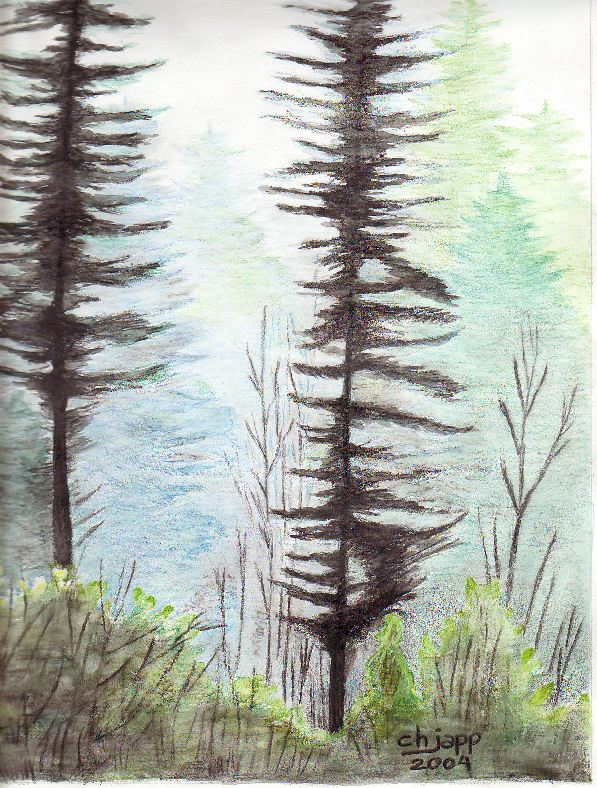 J04010-Árvores na neblina